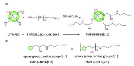 TMPEG-NPEG合成示意圖
